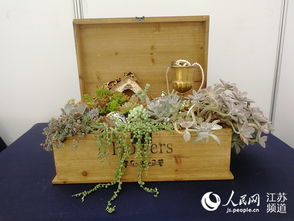 一场美的盛宴 全国盆栽精品亮相江苏如皋